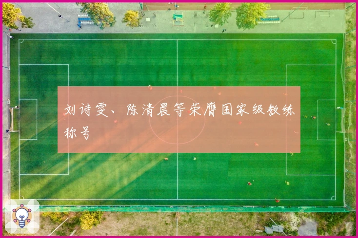 刘诗雯、陈清晨等荣膺国家级教练称号