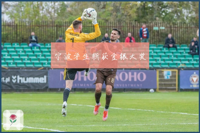 宁波学生斩获金银大奖