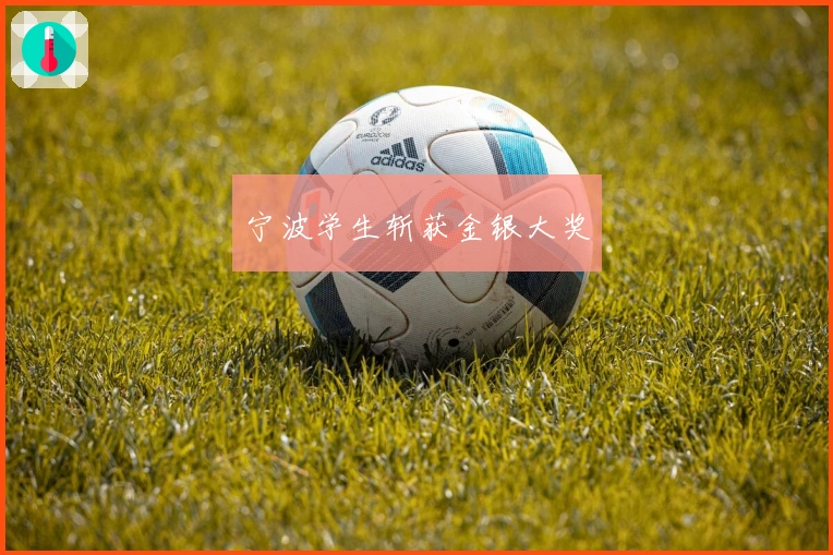 宁波学生斩获金银大奖